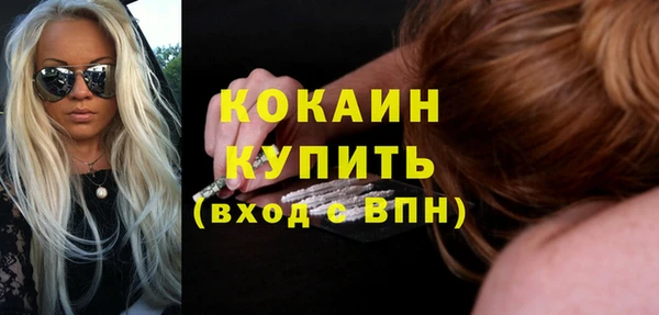 стафф Новозыбков