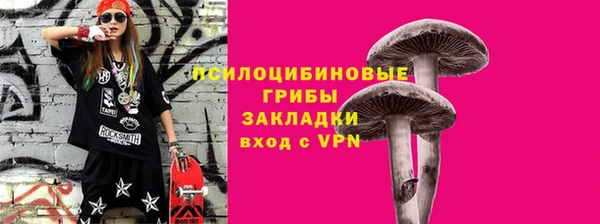 MDMA Няндома