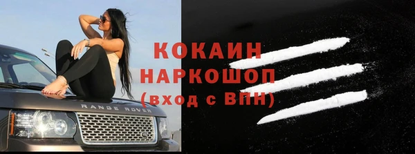 стафф Новозыбков