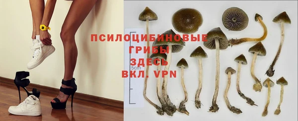 MDMA Няндома