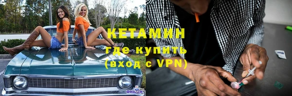 стафф Новозыбков