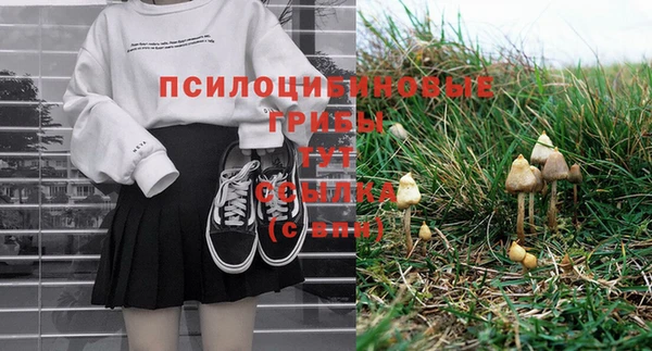 гашик Новокубанск